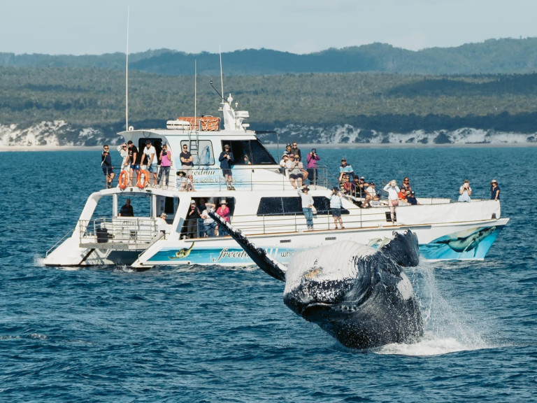 Freedom Whale Watch FB page