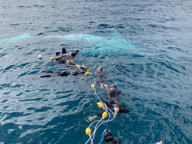 Hervey Bay Dive Centre FB page