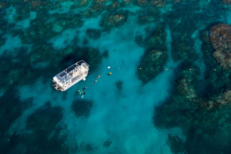 Snorkelling Lady Elliot Island